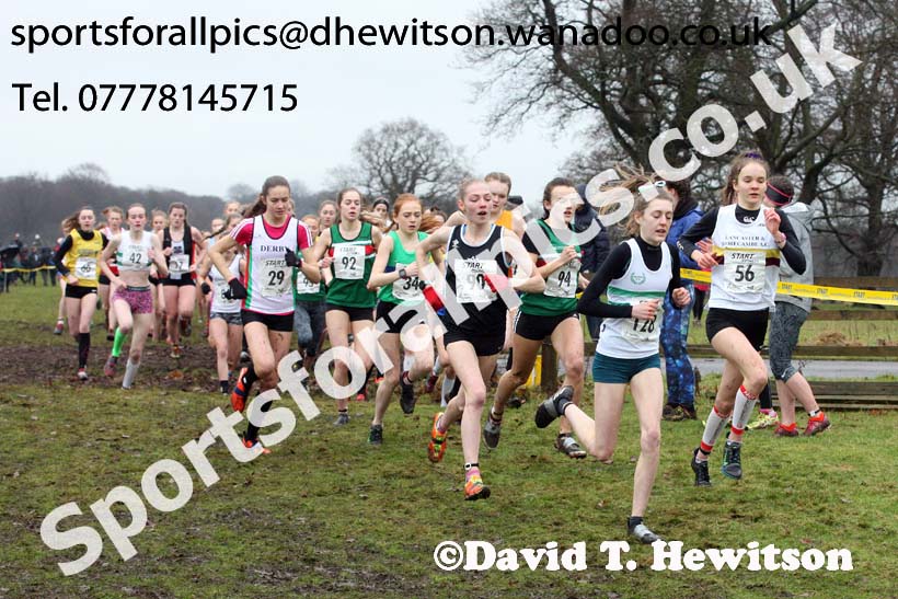 Womens under-17a  Northern Cross Country, Knowsley Safari Park. Photo: David T. Hewitson/Sports for All Pics